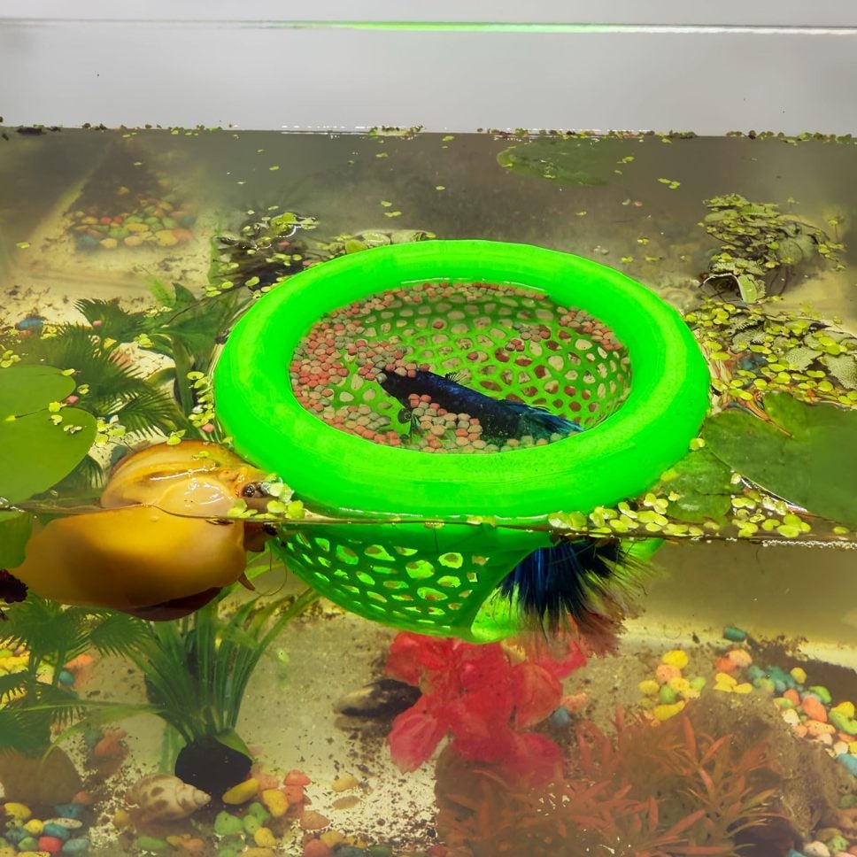🔥Last 4 hours 49% OFF- 🐟Floating Fish Lounge