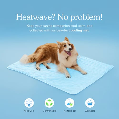 🔥 Hot Sale 49% OFF - Dog Cooling Mat (4x more effective)