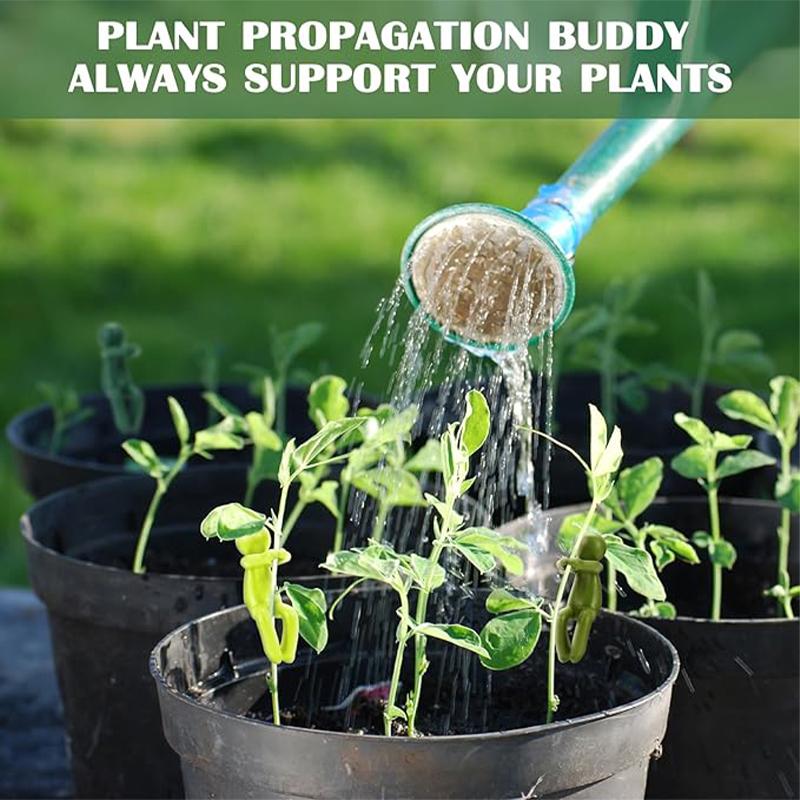 Support Racks For Cuttings And Seedlings, Gardening Supplies For Growing Plants.