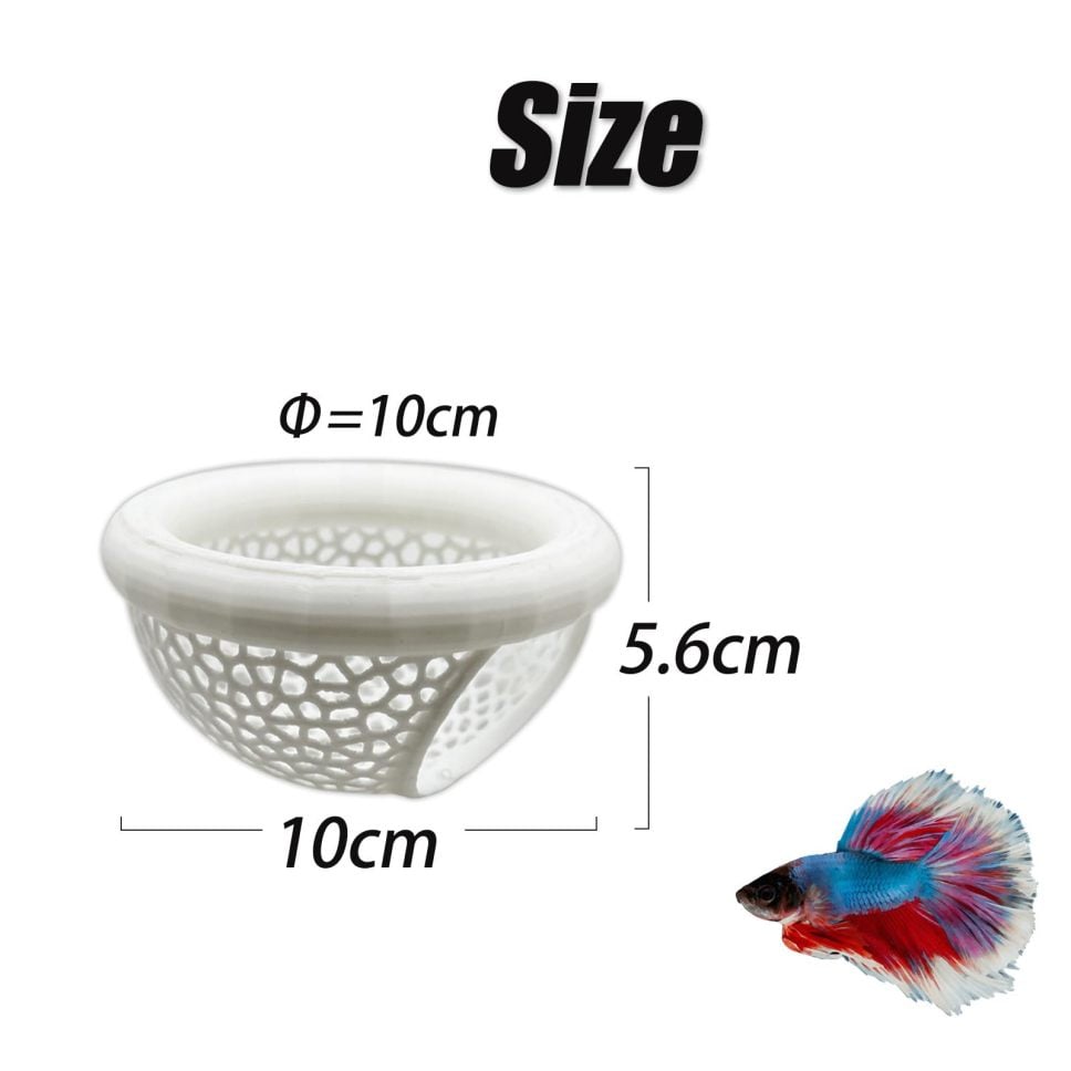 🔥Last 4 hours 49% OFF- 🐟Floating Fish Lounge
