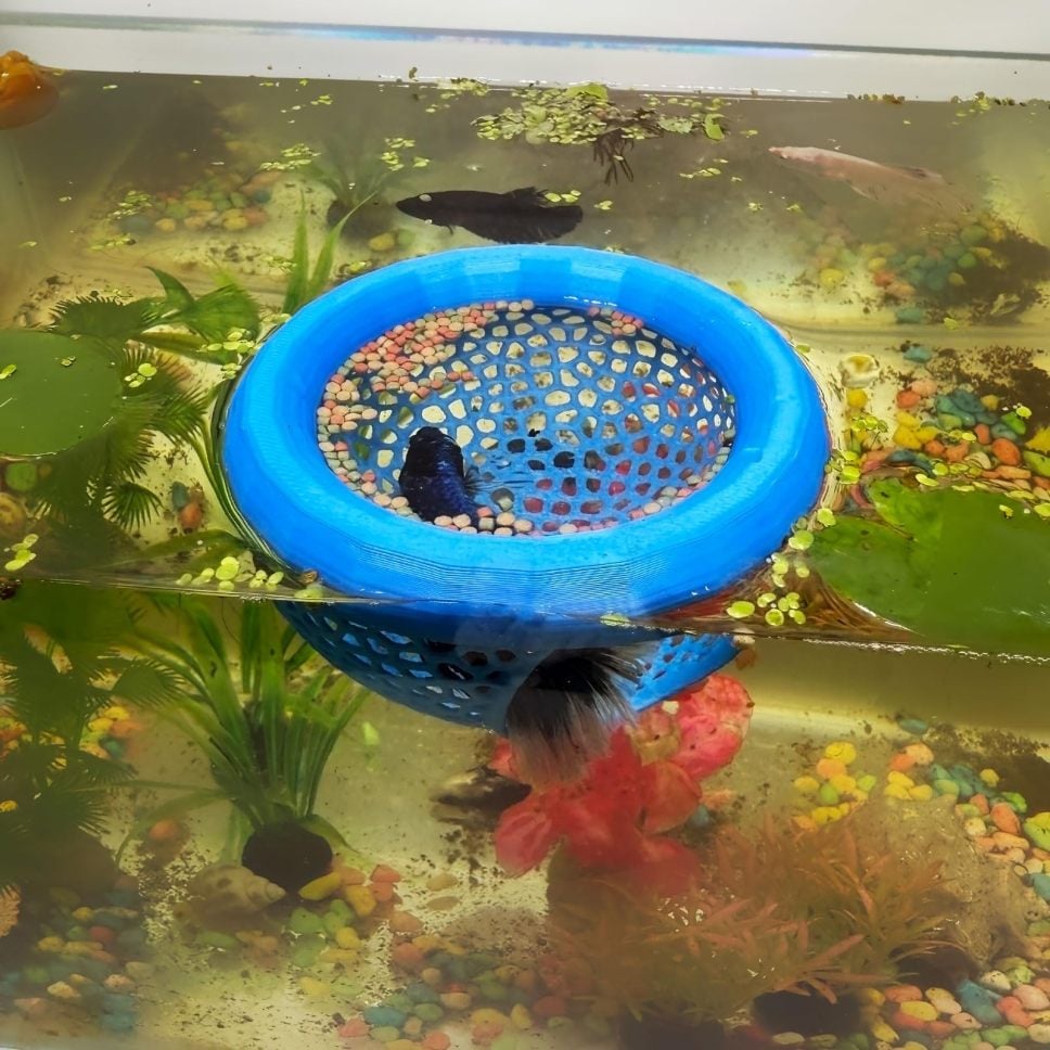 🔥Last 4 hours 49% OFF- 🐟Floating Fish Lounge