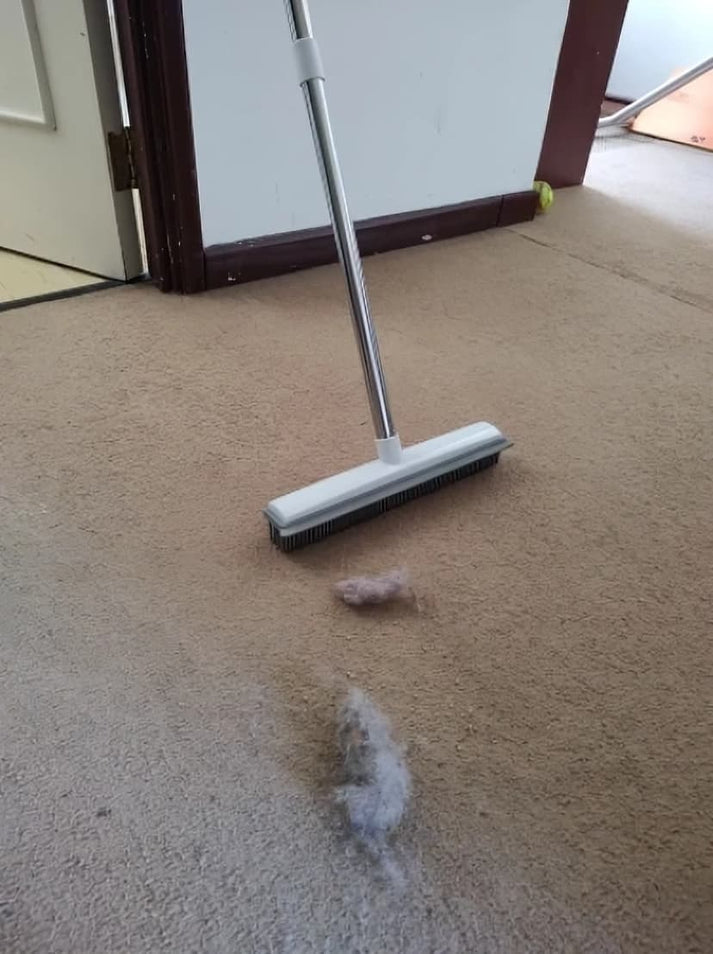 Pet Hair Collection Tool