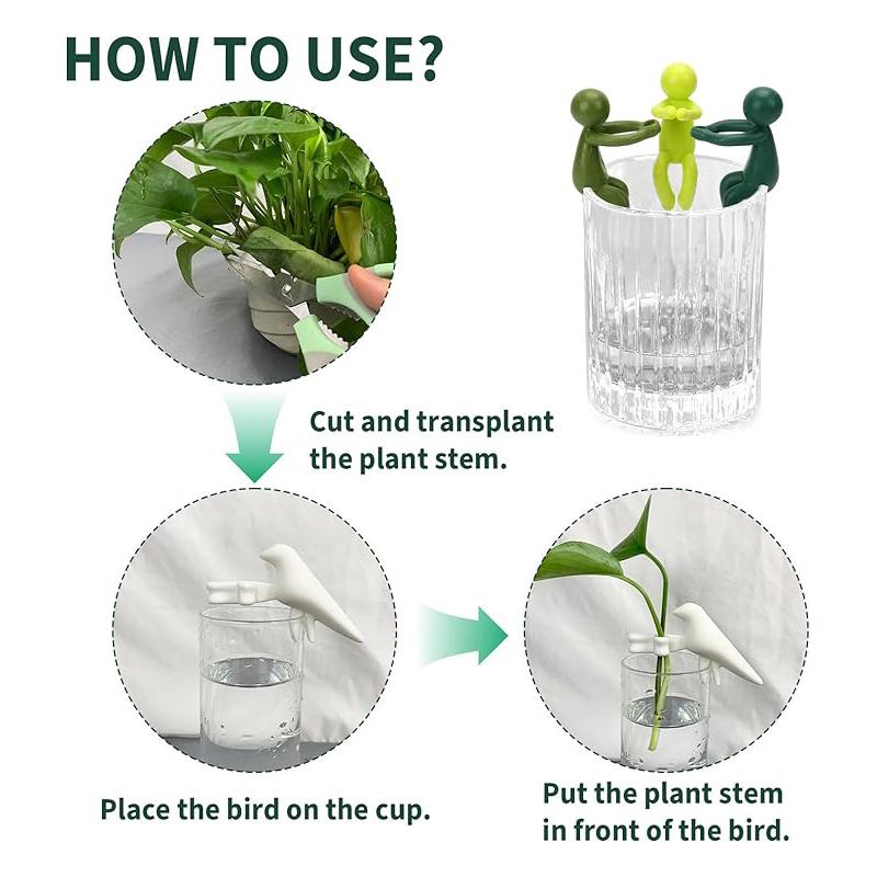 Support Racks For Cuttings And Seedlings, Gardening Supplies For Growing Plants.