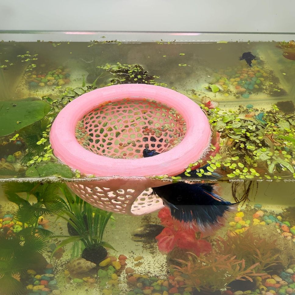 🔥Last 4 hours 49% OFF- 🐟Floating Fish Lounge