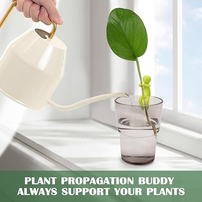 Support Racks For Cuttings And Seedlings, Gardening Supplies For Growing Plants.