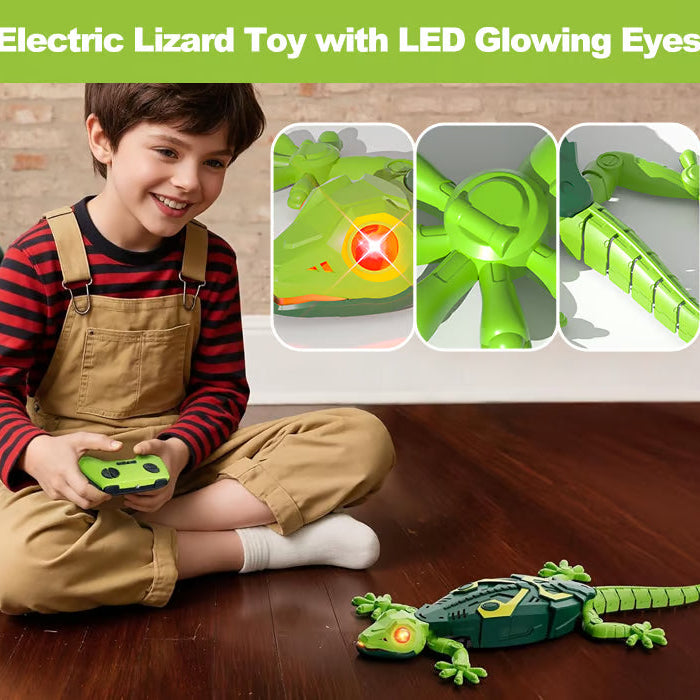 Orvani Wall Climbing Gecko