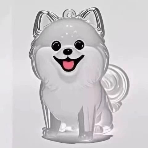 🐶🐱أحدث سلسلة مفاتيح إبداعية شفافة لجمع شعر الكلاب/القطط