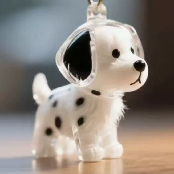 🐶🐱أحدث سلسلة مفاتيح إبداعية شفافة لجمع شعر الكلاب/القطط