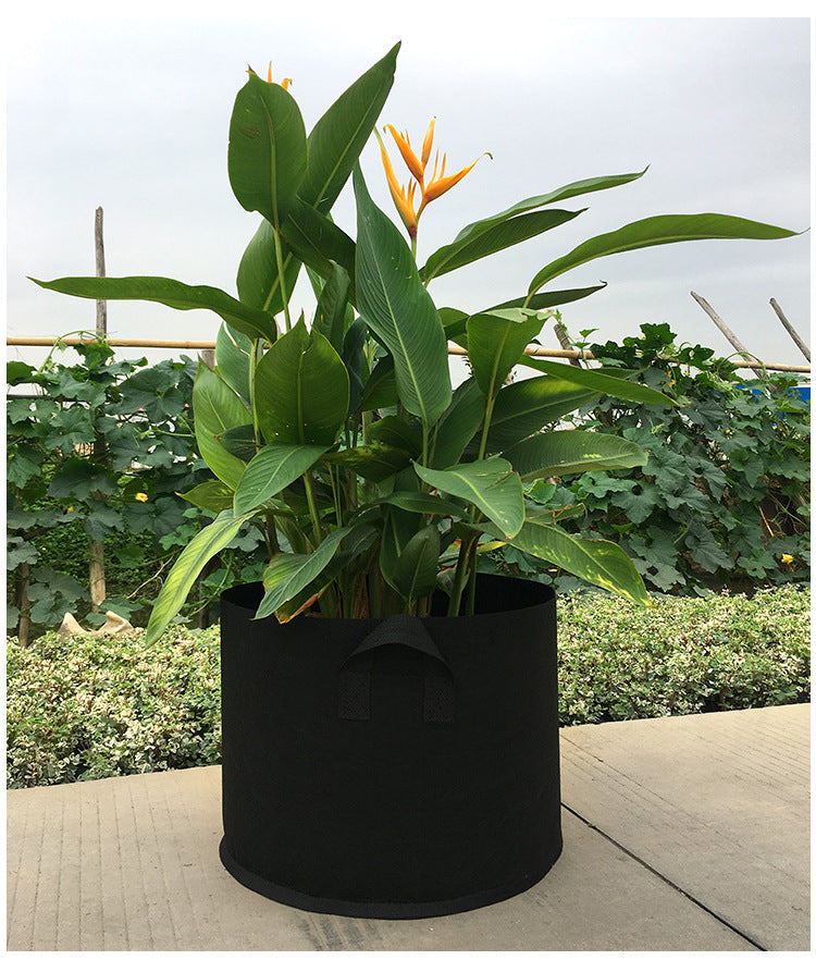 🌱🥔 Planting Bag with Harvest Window– Easy Grow