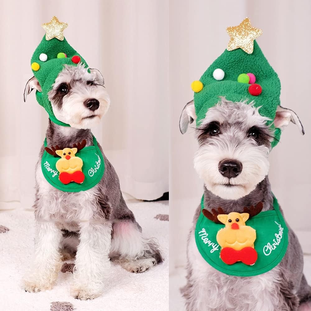 Entzückende Weihnachtsbaum-Pompon-Mütze