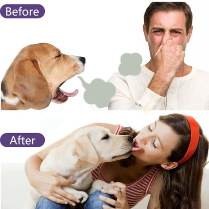 🐶🦷 Pet Oral Care Foam – Removes Odors & Promotes Healthy Teeth and Gums 🪥