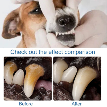 🐶🦷 Pet Oral Care Foam – Removes Odors & Promotes Healthy Teeth and Gums 🪥