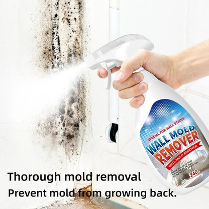 🔥  Buy 2 Get 1 Free🧼 Powerful Mold Remover Spray – Deep Clean & Prevent Regrowth