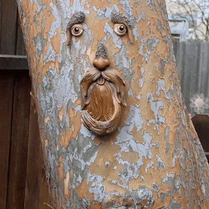 🌳🐦53%OFF Whimsical Tree Face Bird Feeder – Resin Garden Art Decor🎁