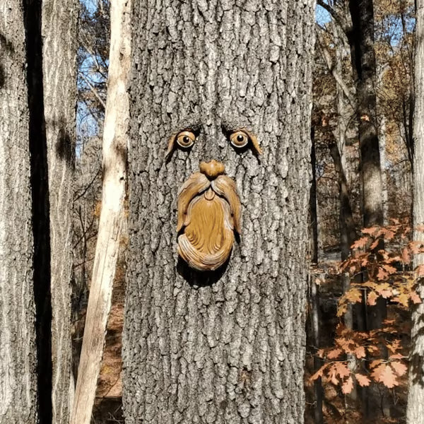 🌳🐦53%OFF Whimsical Tree Face Bird Feeder – Resin Garden Art Decor🎁