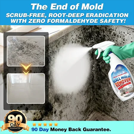 Foam No-Rinse Cleaner🧼 Multi-Surface & Truly No-Rinse Convenience