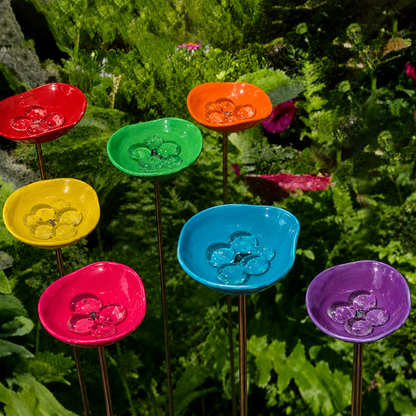 Siteweit! 🐝Bienentwässerungsstation,🦋Schmetterlingspfütze,Kolibri-Trinkbecher 