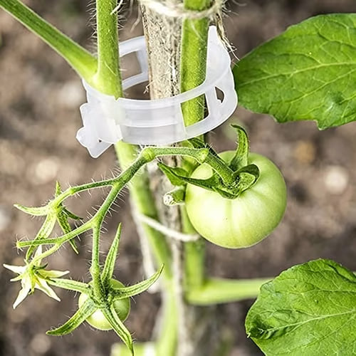 🌱 🍅 Plant Support Clips – Easy Vine Training & Secure Plant Growth