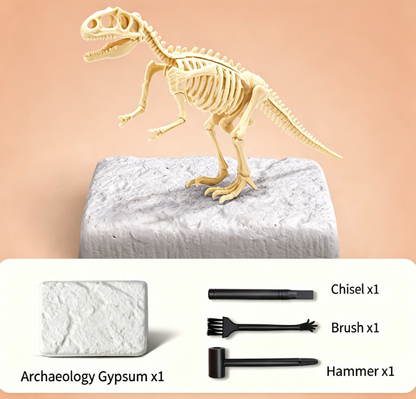 🦖Dinosaur Fossil Digging Kit
