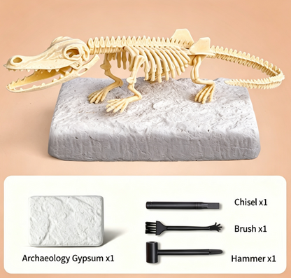 🦖Dinosaur Fossil Digging Kit