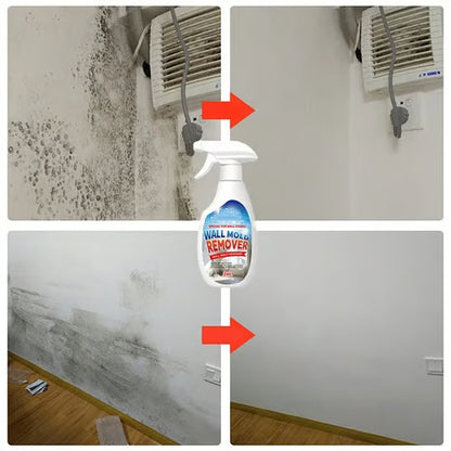 🔥  Buy 2 Get 1 Free🧼 Powerful Mold Remover Spray – Deep Clean & Prevent Regrowth