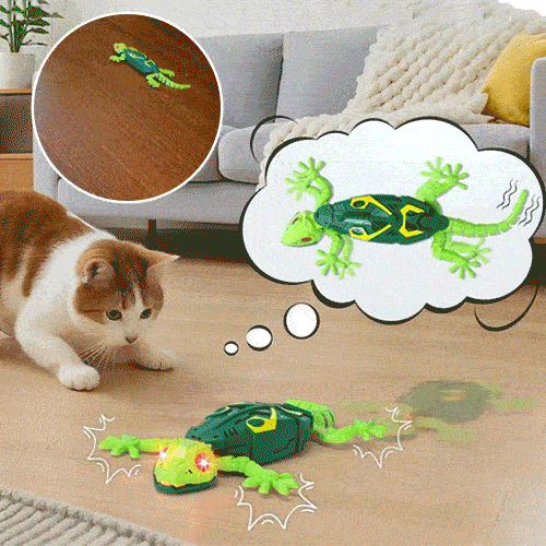 Orvani Wall Climbing Gecko