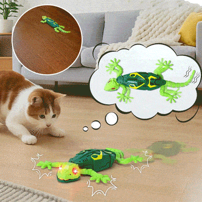 Orvani Wall Climbing Gecko