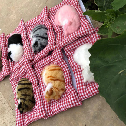 🐱 2026 Must-Have 🚗 Bamboo Charcoal Cat Air Purifier Ornament – Cute Car Decor & Fresh Air Companion ✨