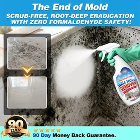 Fast Acting Anti-Mold Wall Cleaner Spray🔥