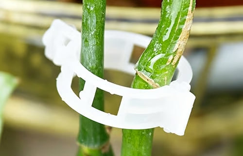 🌱 🍅 Plant Support Clips – Easy Vine Training & Secure Plant Growth