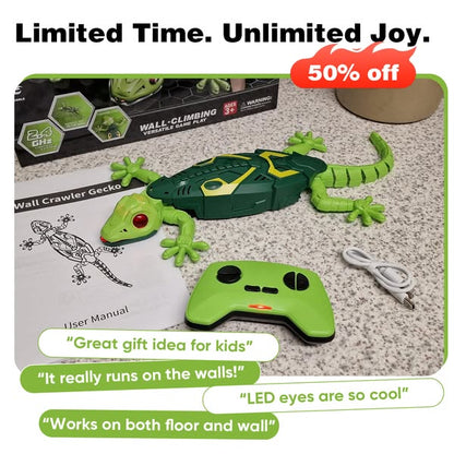 Orvani Wall Climbing Gecko