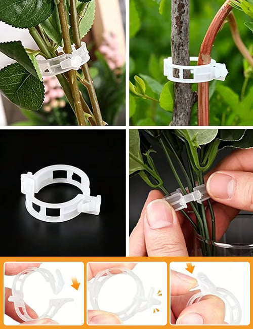 🌱 🍅 Plant Support Clips – Easy Vine Training & Secure Plant Growth