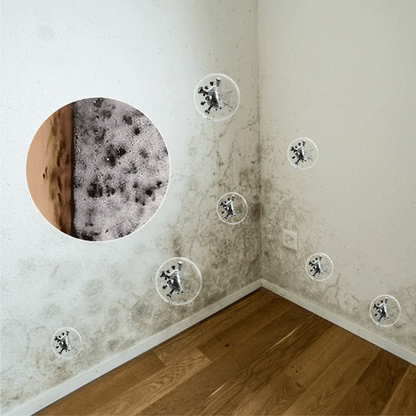 🔥  Buy 2 Get 1 Free🧼 Powerful Mold Remover Spray – Deep Clean & Prevent Regrowth