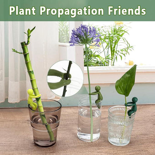 Support Racks For Cuttings And Seedlings, Gardening Supplies For Growing Plants.
