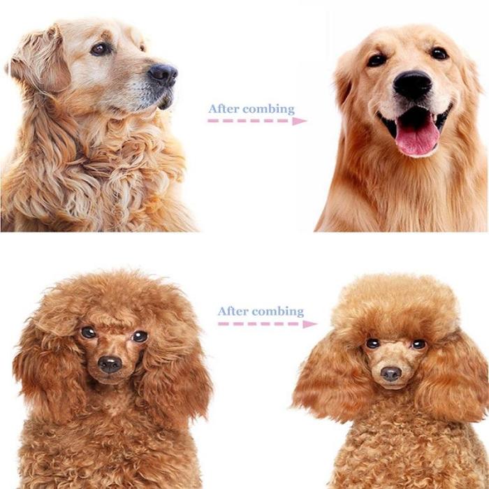 🐶🐾 Double-Sided Pet Grooming Brush – Dog & Cat Hair Remover & Styling Comb