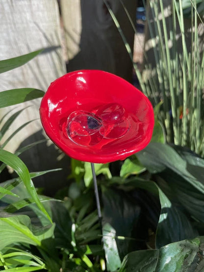 Sitewide! 🐝Bee Watering Station,🦋Butterfly Puddler,Hummingbird Drinking Cups