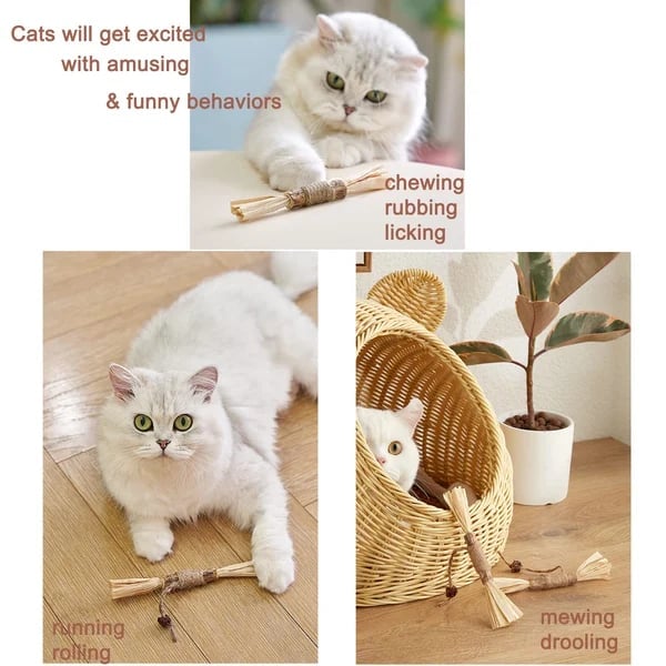 🐱🦷 Natural Silvervine Cat Toy –  Play, Relax & Dental Cleaning