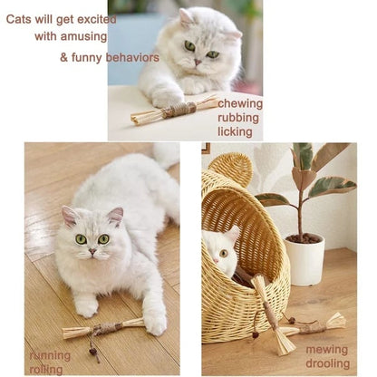 🐱🦷 Natural Silvervine Cat Toy –  Play, Relax & Dental Cleaning