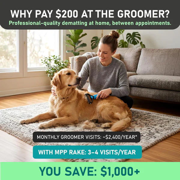 🔥Last Day 60% OFF✨Professional Deshedding Tool For Dogs And Cats🐶🐱