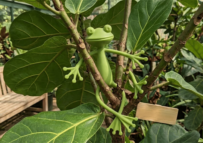 🐸🌿Multifunctional Bendable Frog Plant Clips