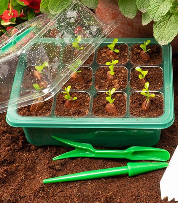 Last day Only $4.33 each - Adjustable Humidity Seed Starter Trays