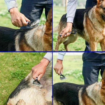 🐶🐾 Double-Sided Pet Grooming Brush – Dog & Cat Hair Remover & Styling Comb