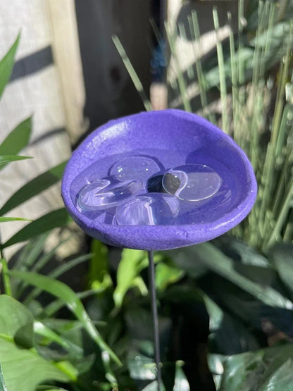 Sitewide! 🐝Bee Watering Station,🦋Butterfly Puddler,Hummingbird Drinking Cups