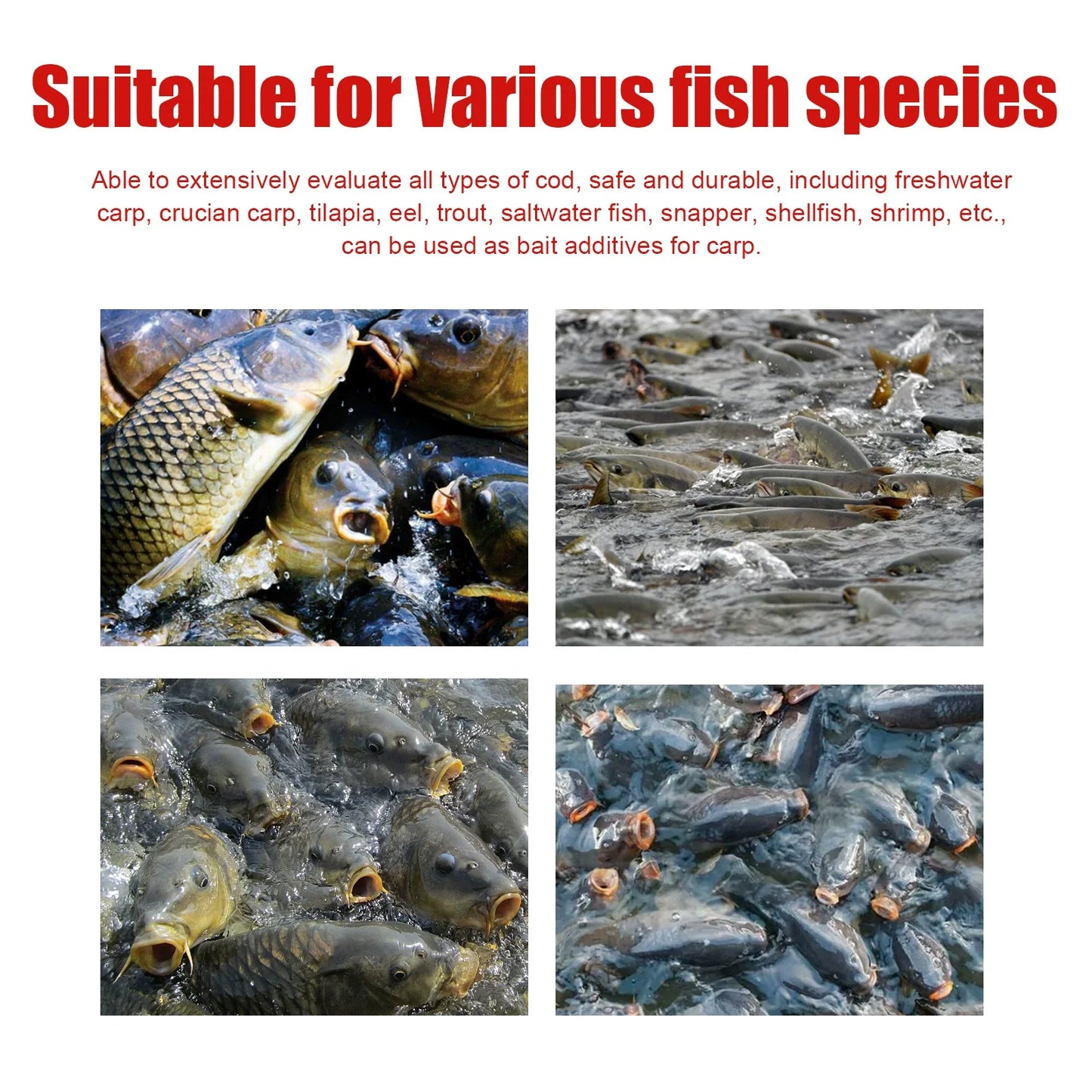 🔥 Angler's Secret 🎣Concentrated Red Worm Fishing Attractant – Draw More Fish, Faster Bites