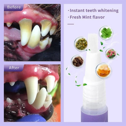 🌈 Pet Oral Repair Gel