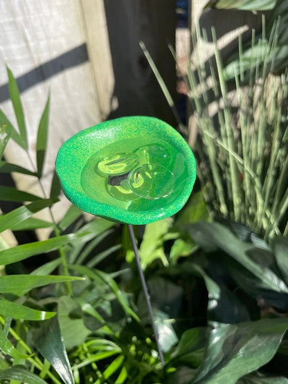 Sitewide! 🐝Bee Watering Station,🦋Butterfly Puddler,Hummingbird Drinking Cups