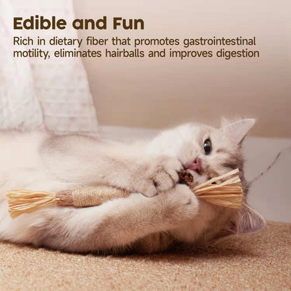 🐱🦷 Natural Silvervine Cat Toy –  Play, Relax & Dental Cleaning