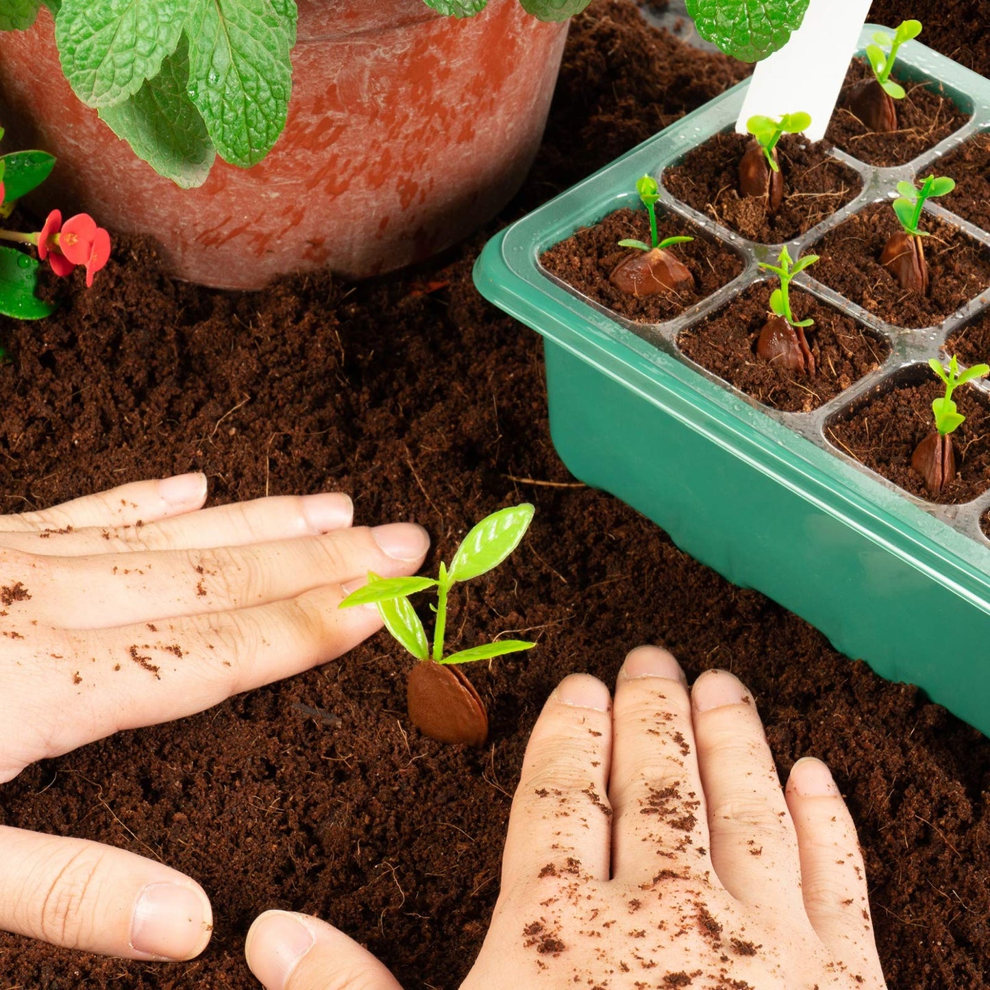 Last day Only $4.33 each - Adjustable Humidity Seed Starter Trays