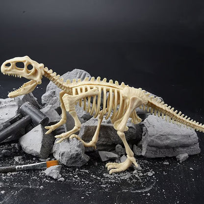 🦖Dinosaur Fossil Digging Kit