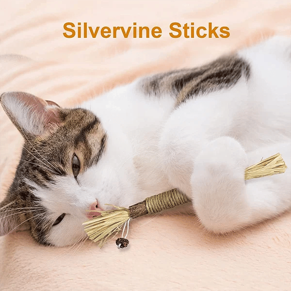 🐱🦷 Natural Silvervine Cat Toy –  Play, Relax & Dental Cleaning